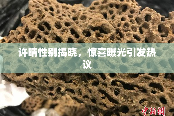 许晴性别揭晓，惊喜曝光引发热议