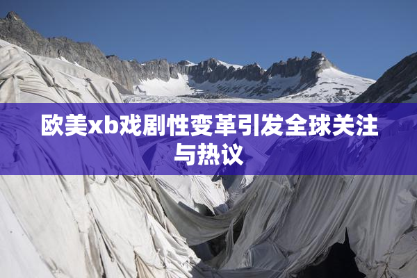 欧美xb戏剧性变革引发全球关注与热议