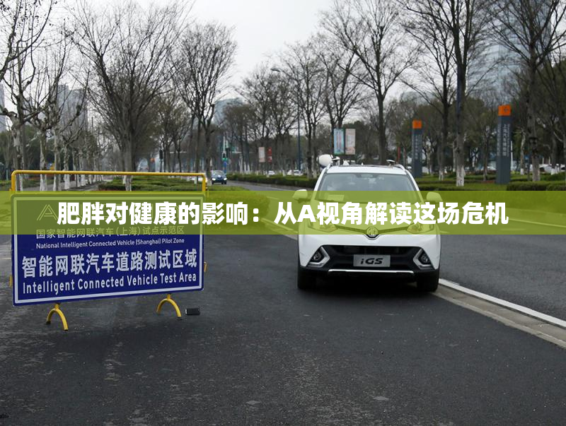 肥胖对健康的影响：从A视角解读这场危机