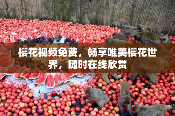 樱花视频免费，畅享唯美樱花世界，随时在线欣赏