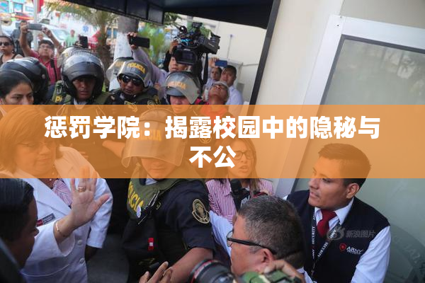 惩罚学院：揭露校园中的隐秘与不公