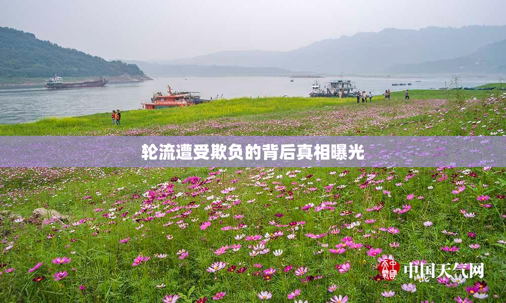 轮流遭受欺负的背后真相曝光