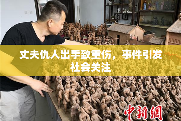 丈夫仇人出手致重伤，事件引发社会关注