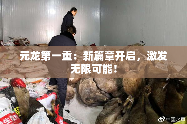 元龙第一重：新篇章开启，激发无限可能！