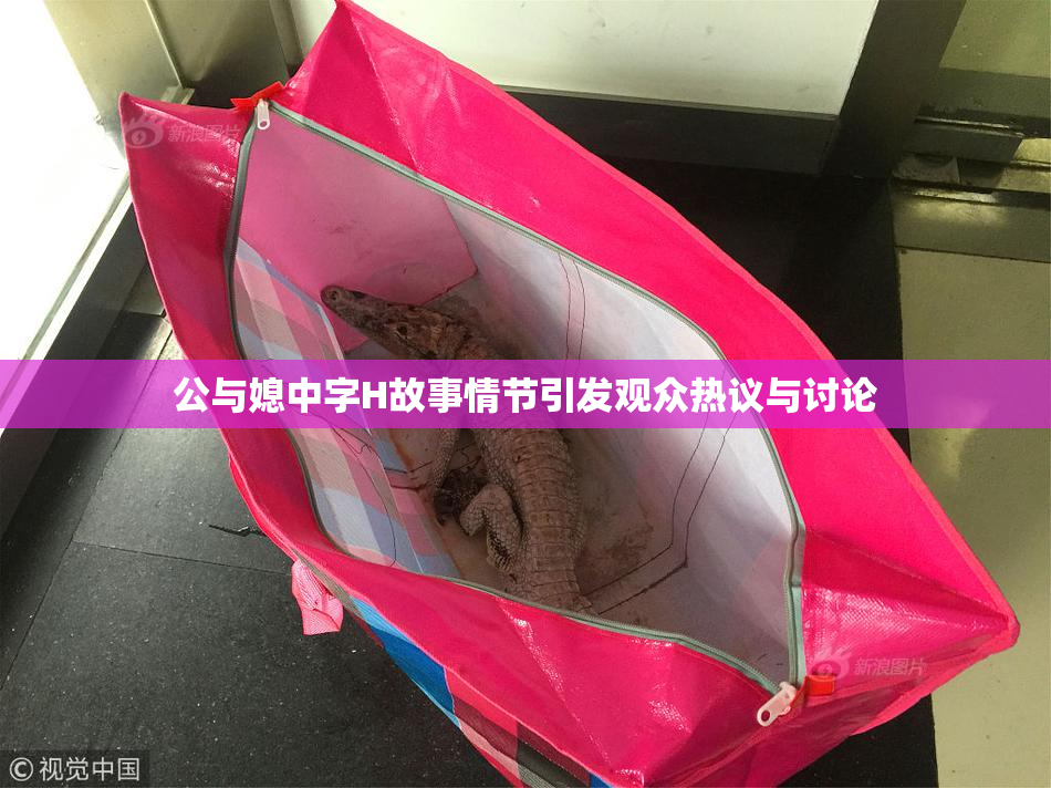 公与媳中字H故事情节引发观众热议与讨论