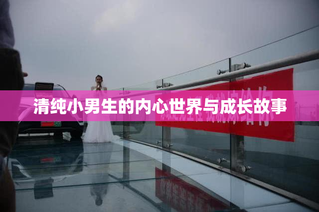 清纯小男生的内心世界与成长故事