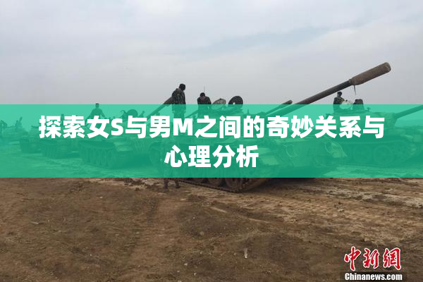 探索女S与男M之间的奇妙关系与心理分析
