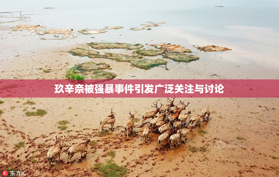 玖辛奈被强暴事件引发广泛关注与讨论
