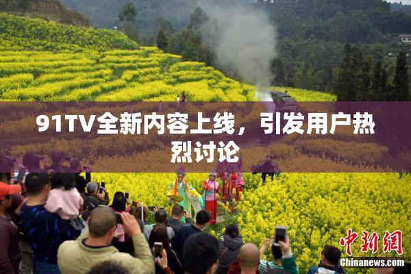 91TV全新内容上线，引发用户热烈讨论