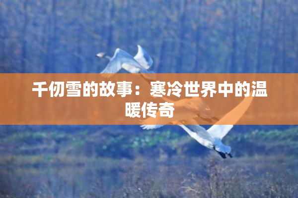 千仞雪的故事：寒冷世界中的温暖传奇