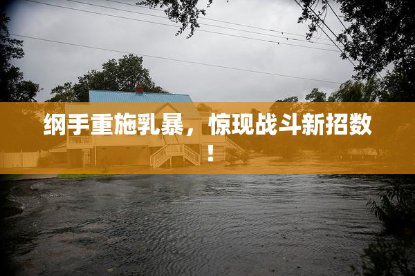 纲手重施乳暴，惊现战斗新招数！