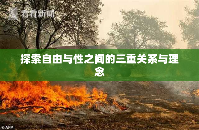 探索自由与性之间的三重关系与理念