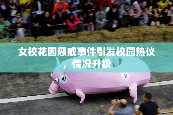 女校花因惩戒事件引发校园热议，情况升级