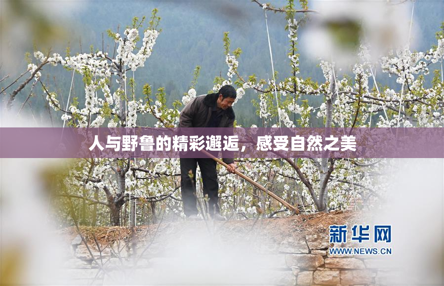 人与野鲁的精彩邂逅，感受自然之美