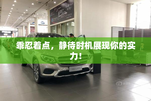 乖忍着点，静待时机展现你的实力！