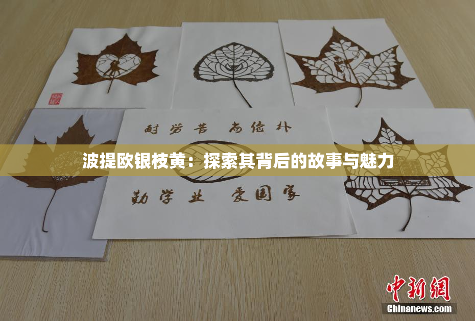 波提欧银枝黄：探索其背后的故事与魅力