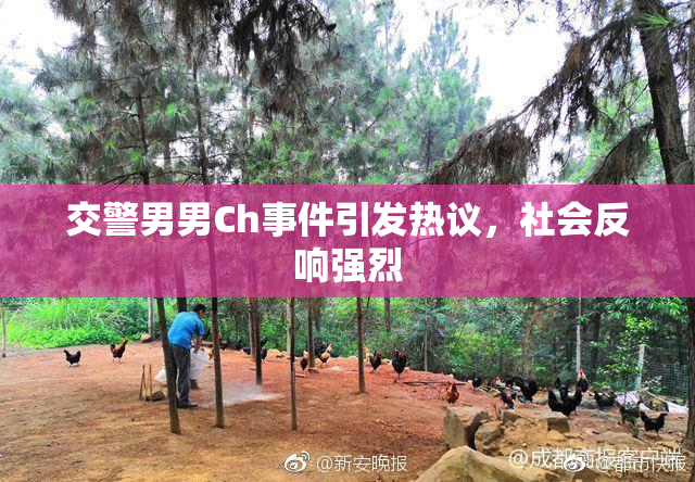 交警男男Ch事件引发热议，社会反响强烈