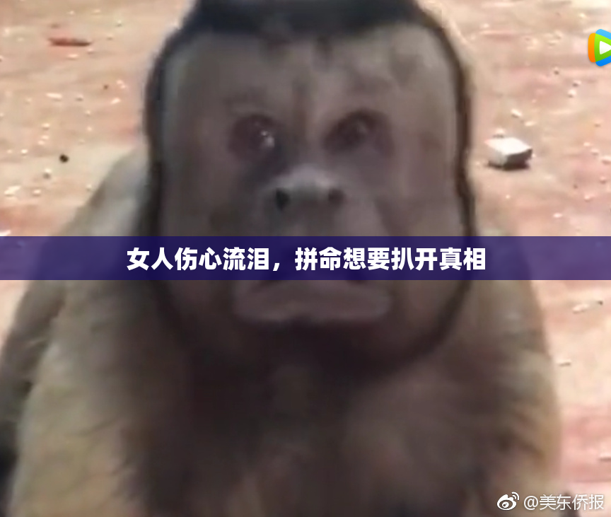 女人伤心流泪，拼命想要扒开真相