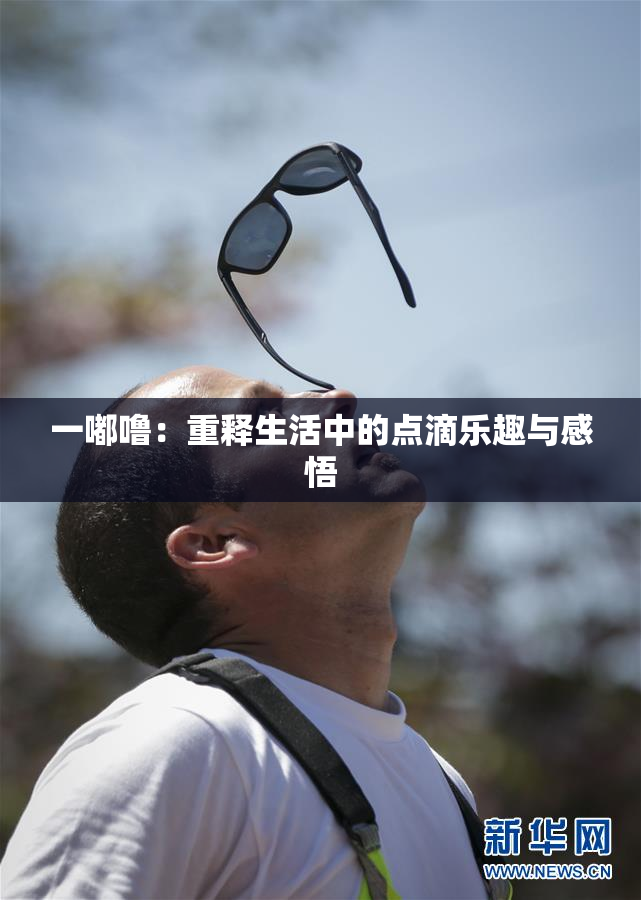 一嘟噜：重释生活中的点滴乐趣与感悟