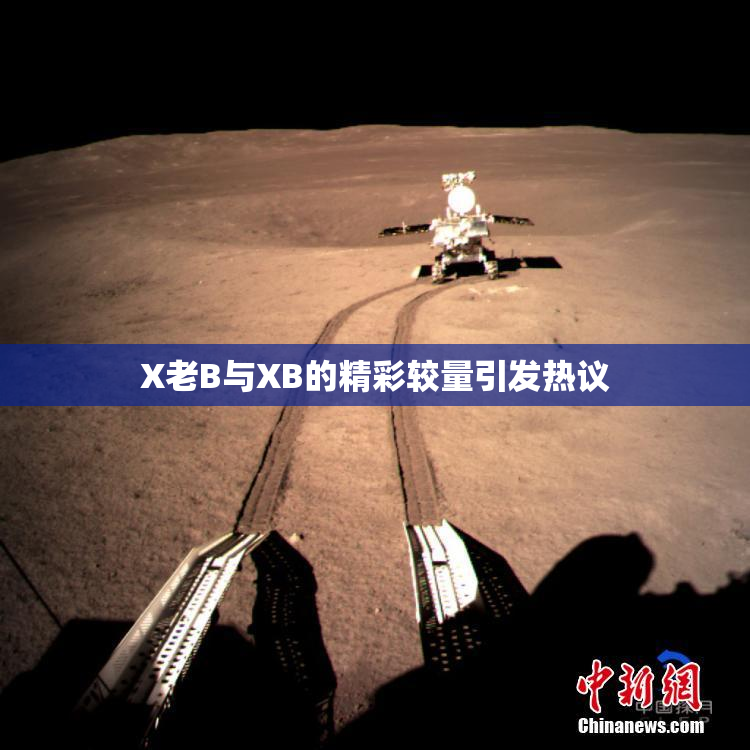 X老B与XB的精彩较量引发热议