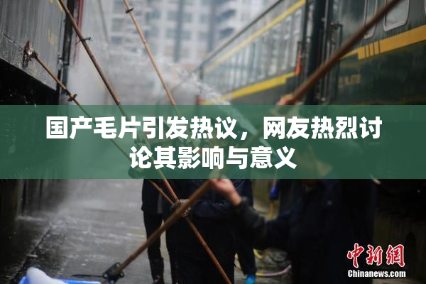 国产毛片引发热议，网友热烈讨论其影响与意义
