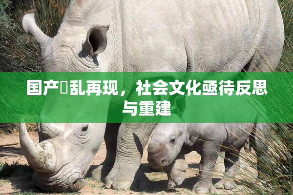 国产婬乱再现，社会文化亟待反思与重建