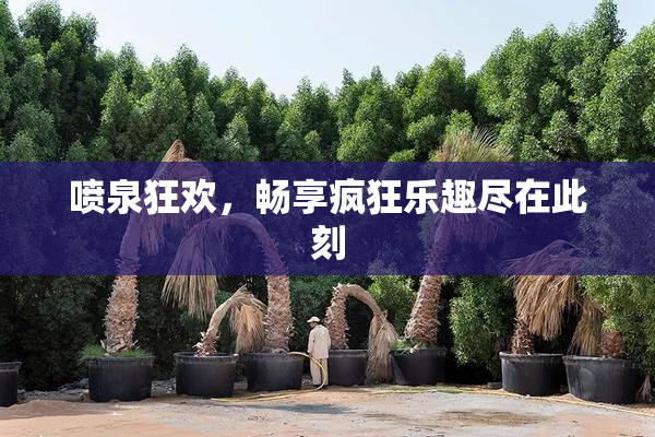 喷泉狂欢，畅享疯狂乐趣尽在此刻