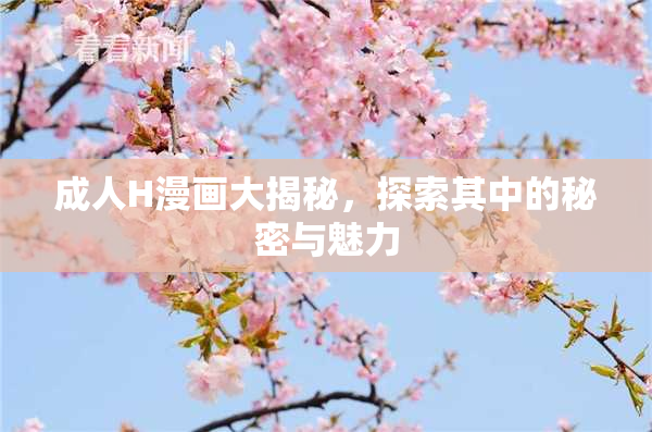 成人H漫画大揭秘，探索其中的秘密与魅力