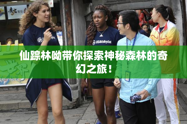 仙踪林呦带你探索神秘森林的奇幻之旅！