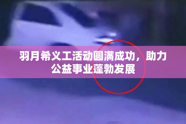 羽月希义工活动圆满成功，助力公益事业蓬勃发展