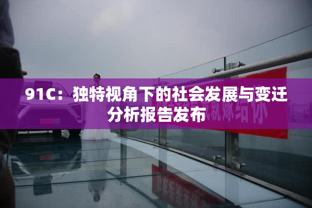 91C：独特视角下的社会发展与变迁分析报告发布