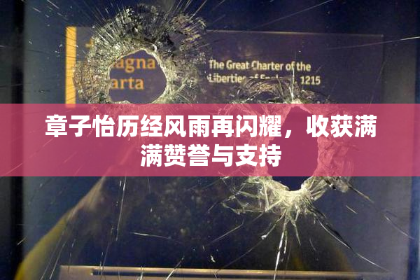 章子怡历经风雨再闪耀，收获满满赞誉与支持