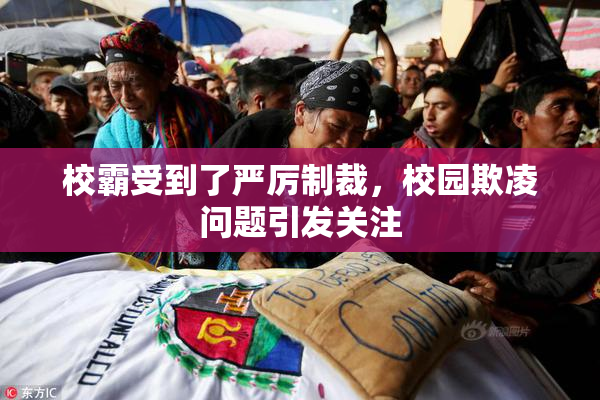 校霸受到了严厉制裁，校园欺凌问题引发关注