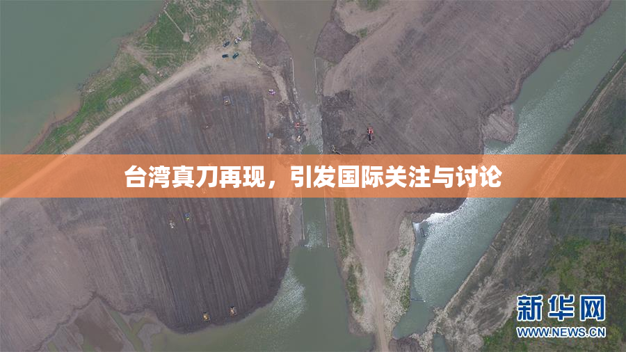 台湾真刀再现，引发国际关注与讨论
