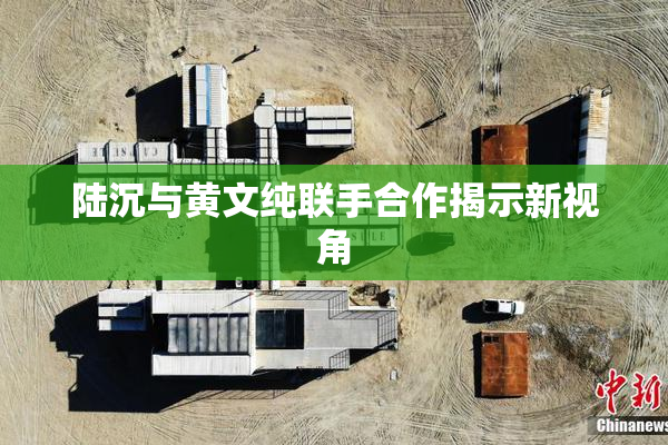 陆沉与黄文纯联手合作揭示新视角