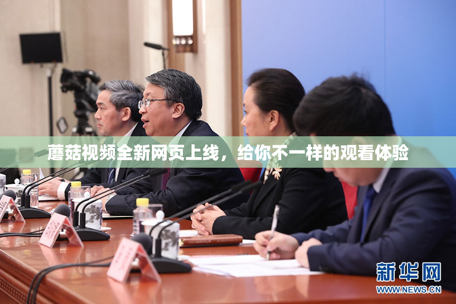 蘑菇视频全新网页上线，给你不一样的观看体验