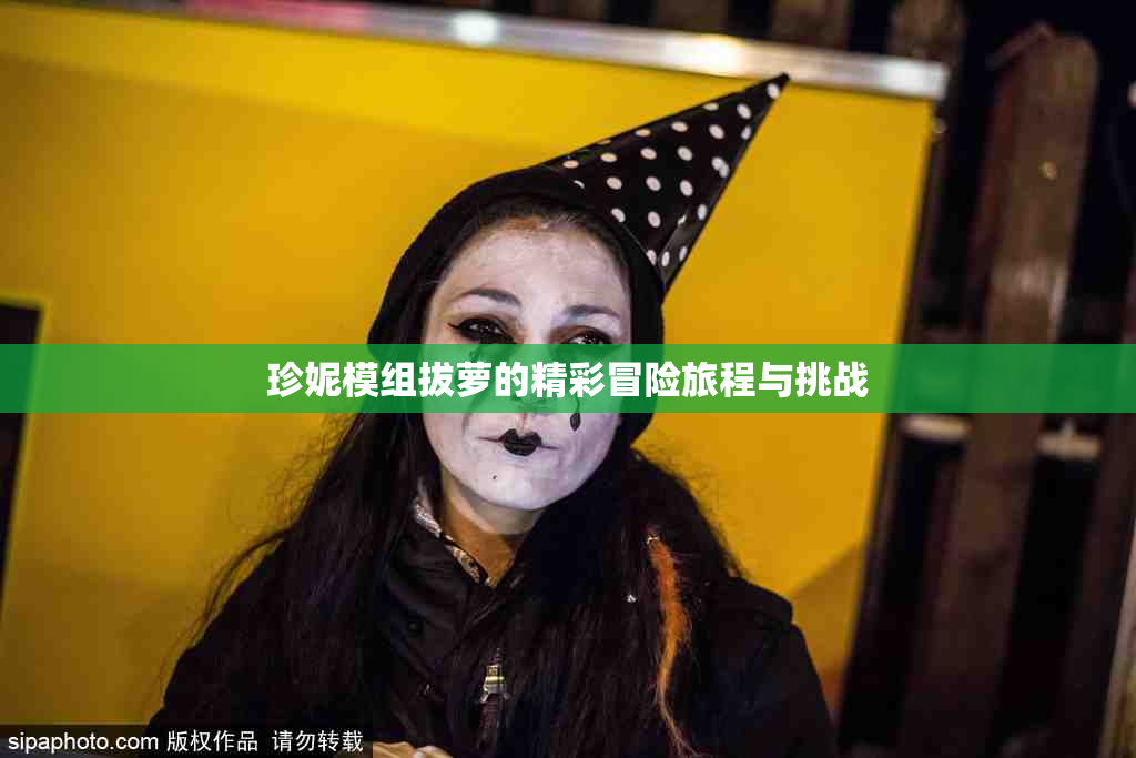 珍妮模组拔萝的精彩冒险旅程与挑战