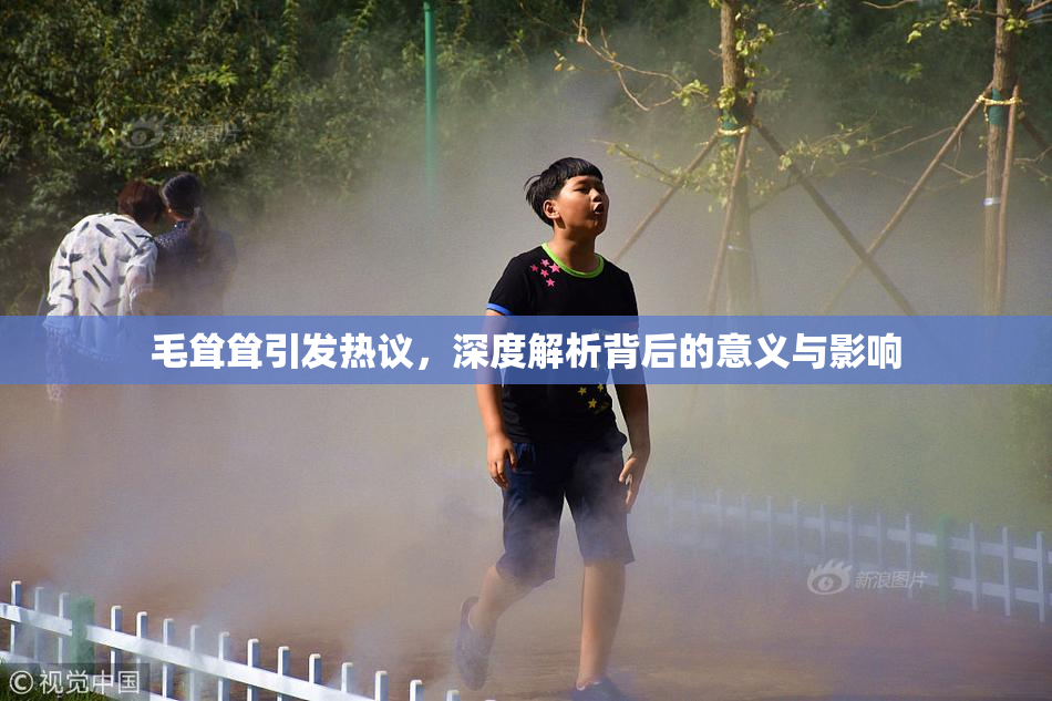 毛耸耸引发热议，深度解析背后的意义与影响