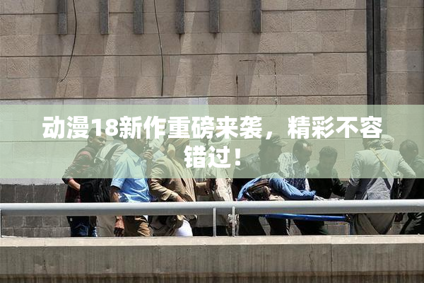 动漫18新作重磅来袭，精彩不容错过！