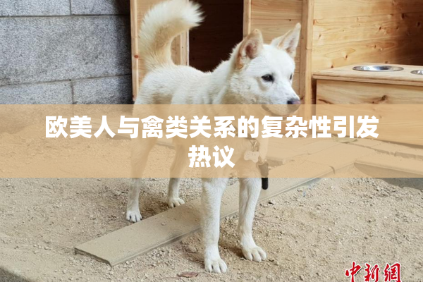 欧美人与禽类关系的复杂性引发热议
