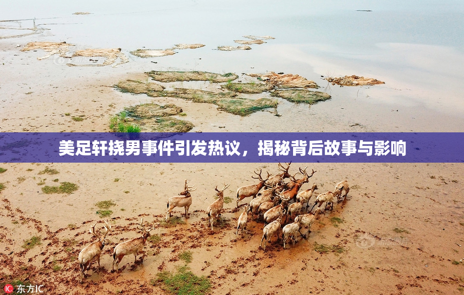 美足轩挠男事件引发热议，揭秘背后故事与影响