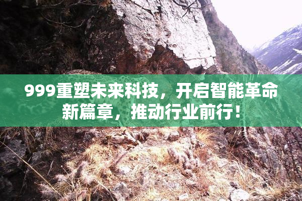 999重塑未来科技，开启智能革命新篇章，推动行业前行！
