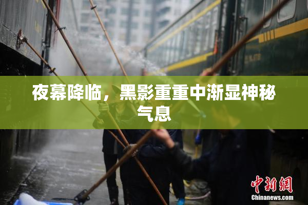 夜幕降临，黑影重重中渐显神秘气息