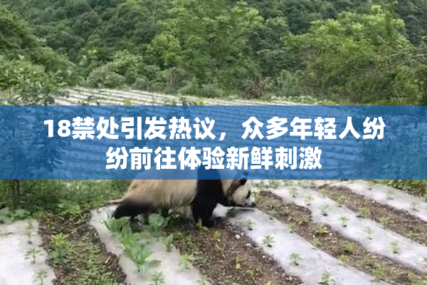 18禁处引发热议，众多年轻人纷纷前往体验新鲜刺激