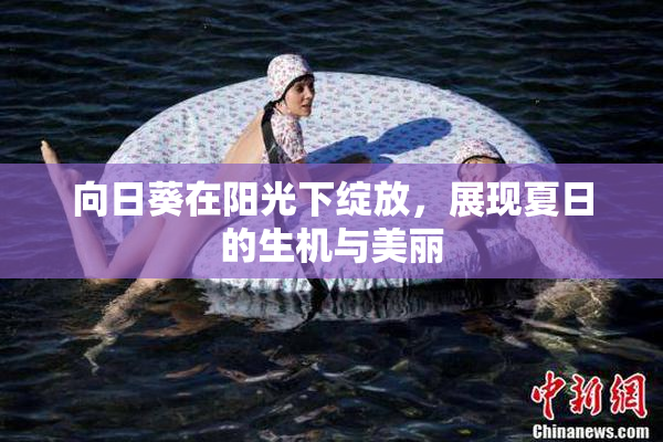 向日葵在阳光下绽放，展现夏日的生机与美丽