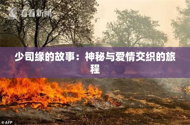 少司缘的故事：神秘与爱情交织的旅程