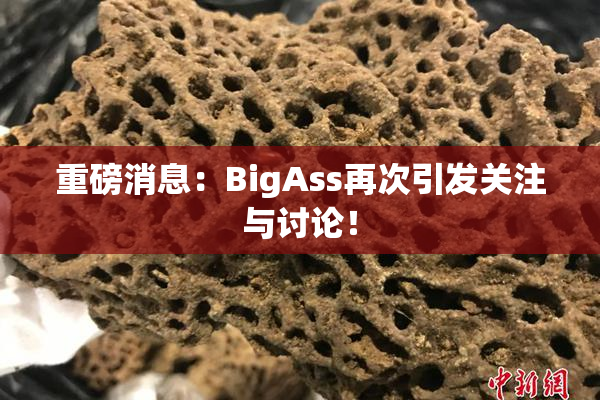 重磅消息：BigAss再次引发关注与讨论！