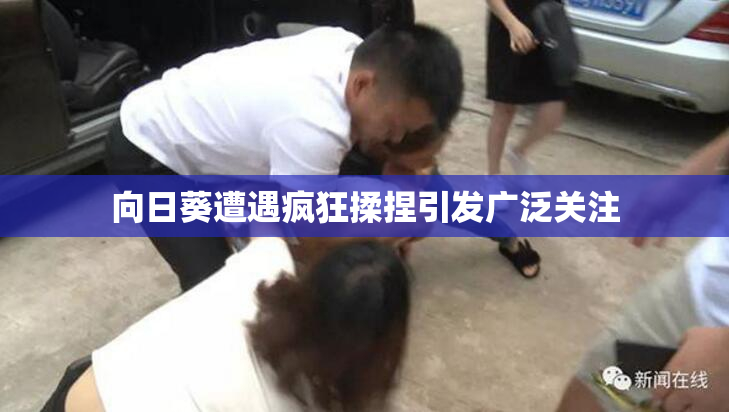 向日葵遭遇疯狂揉捏引发广泛关注