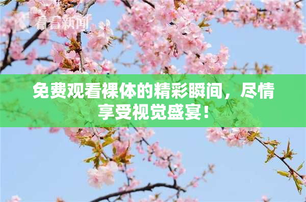 免费观看裸体的精彩瞬间，尽情享受视觉盛宴！