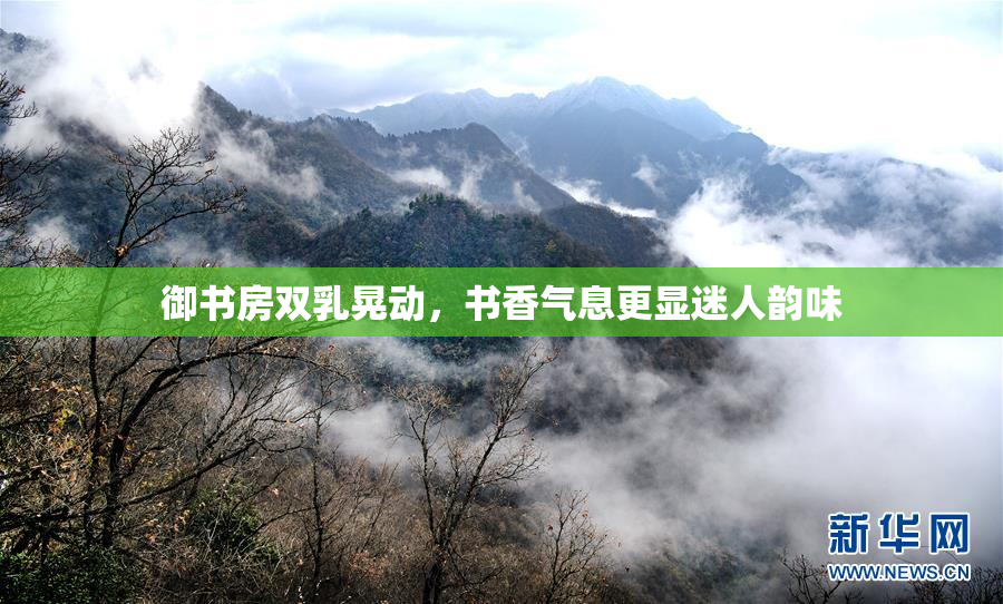 御书房双乳晃动，书香气息更显迷人韵味